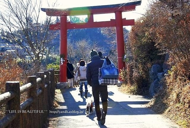 初詣2012_d0083623_139291.jpg