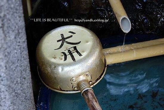 初詣2012_d0083623_1422124.jpg