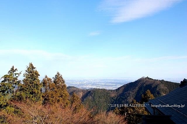 初詣2012_d0083623_1474713.jpg