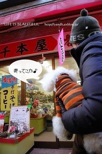 初詣2012_d0083623_1522848.jpg
