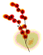 d0134824_1775443.gif