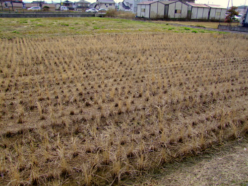 「小学校へ行ってきました」_a0000029_21105374.jpg