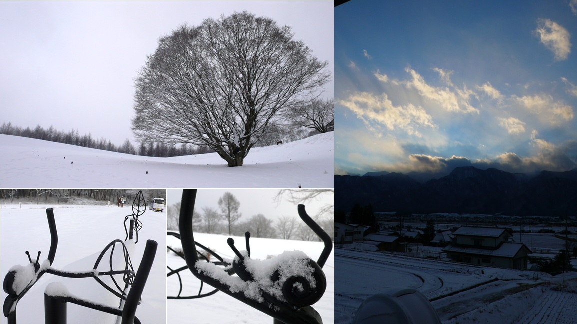 安曇野　雪の七色大カエデとカタツムリ_a0212730_17194447.jpg