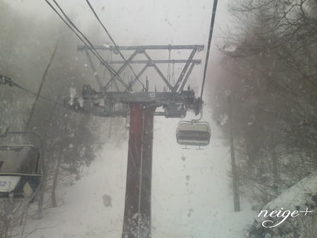 +++ 2012 迎春 +++_f0023333_10173861.jpg