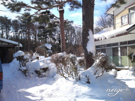 +++ 2012 迎春 +++_f0023333_10315139.jpg