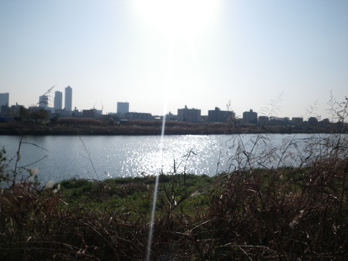 d0252642_2373773.jpg