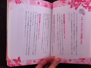 120105 2011年ふりかえりナビ①「Yearly Schedule」_f0164842_12525855.jpg