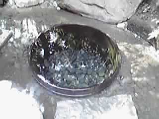 明治神宮＆神田明神_f0140343_16514825.jpg