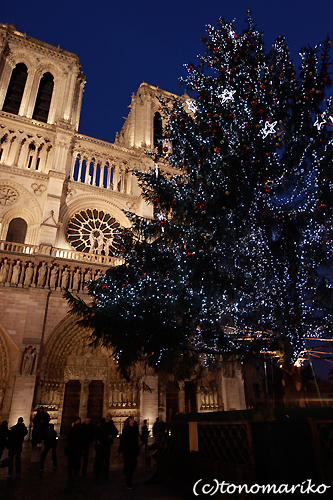 ノートルダム寺院のクリスマスツリー_c0024345_7225275.jpg