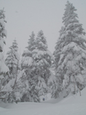 a0192946_21515540.jpg