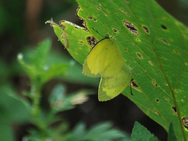 c0045352_20133115.jpg