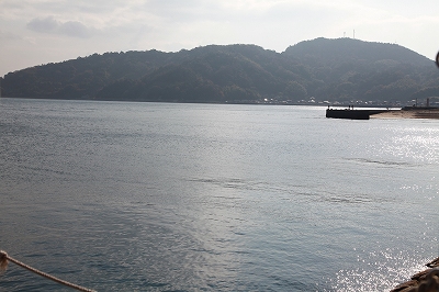 戦艦陸奥_d0065558_23393427.jpg