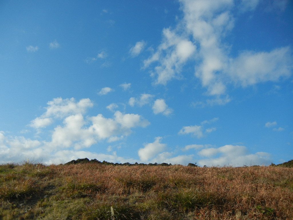 2012年1月5日(木)お散歩へレッツラゴ~!_f0060461_14514743.jpg