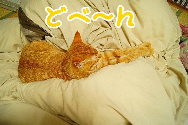 明けて三が日。_a0201967_21511362.jpg