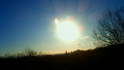 e0151768_165558.jpg