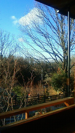 e0151768_165591.jpg