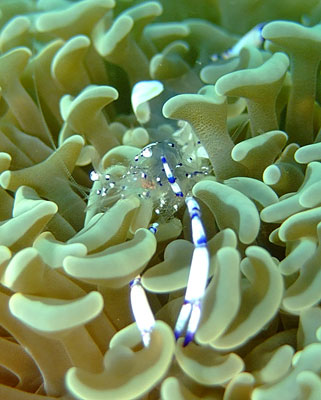 「体がなまらないように、海水に浸かる!」_b0033573_22113431.jpg