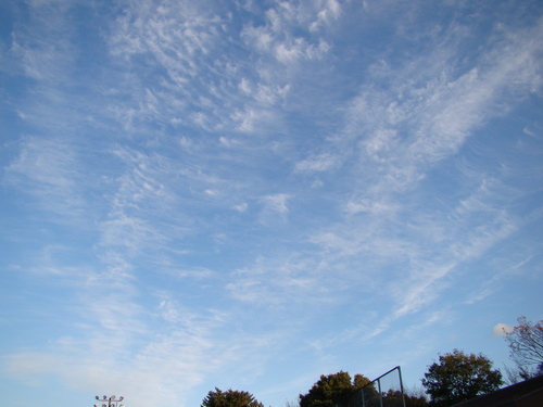 b0190573_06828.jpg