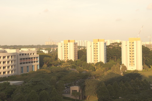 a0002177_958571.jpg