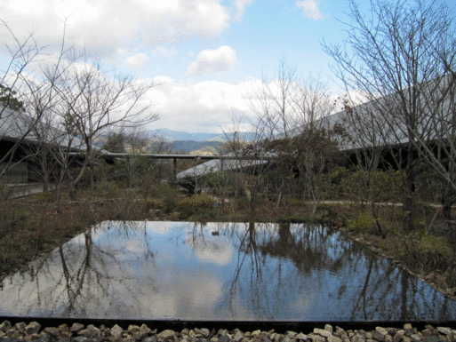 高知県立牧野植物園_b0159780_18291314.gif