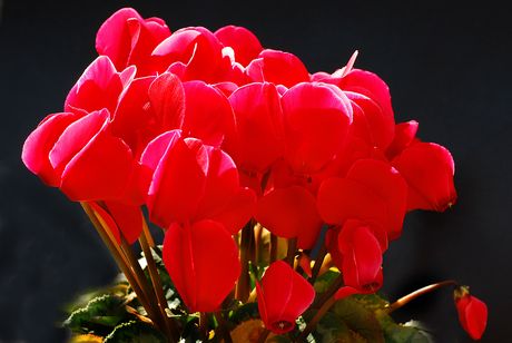 a0240085_14242493.jpg