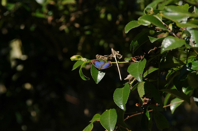 e0070891_17112723.jpg