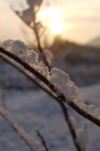 f0222692_8442050.jpg