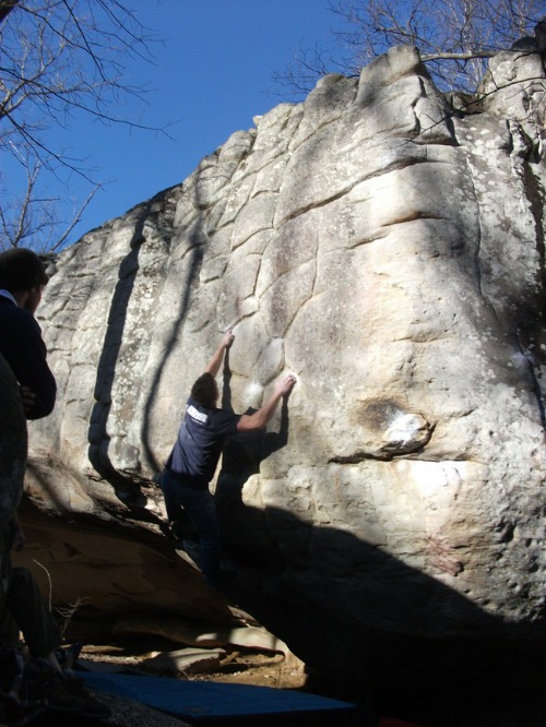 Horse Pens 40_a0151593_14262233.jpg