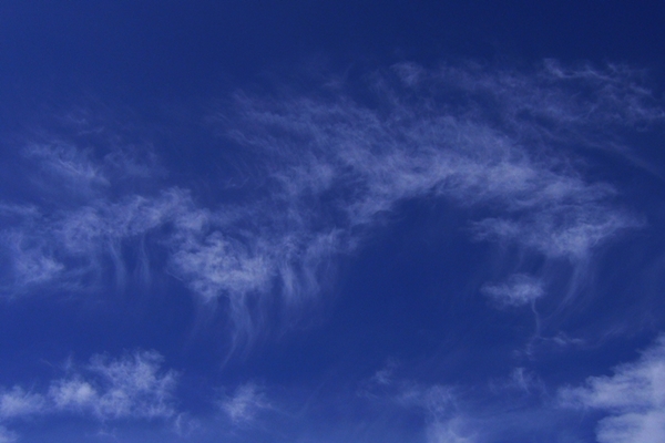 e0122193_1457434.jpg