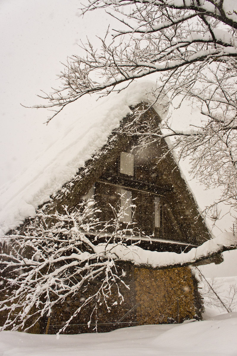 富山県南砺市 五箇山 合掌造り集落 2012.1.4_b0247097_3485023.jpg