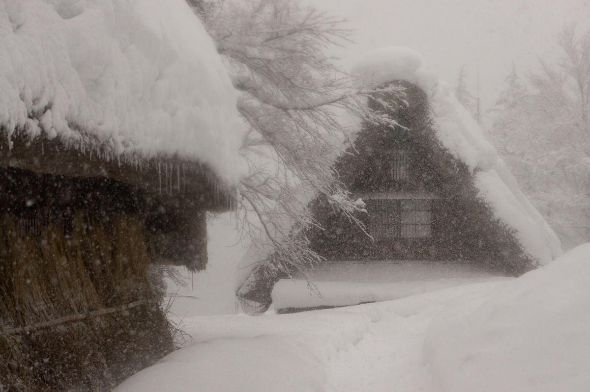 富山県南砺市 五箇山 合掌造り集落 2012.1.4_b0247097_3501882.jpg