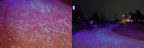 b0189603_1247665.png