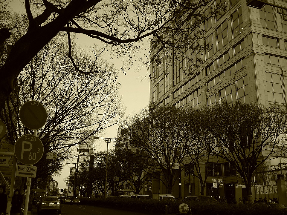 e0252304_2155554.jpg