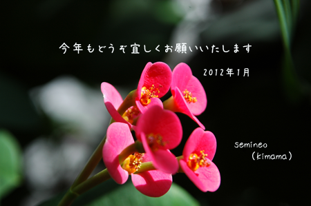c0051105_20531898.png