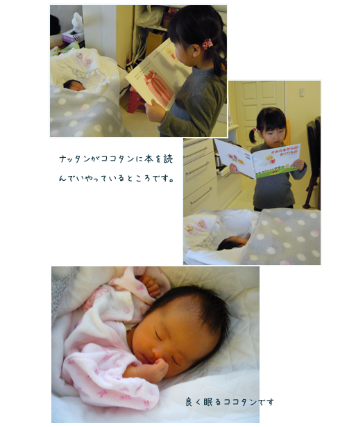 c0051105_215916.png