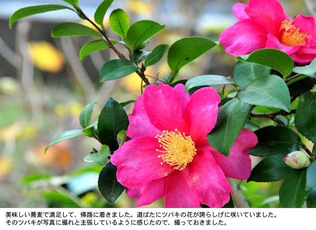 a0248908_21284049.jpg