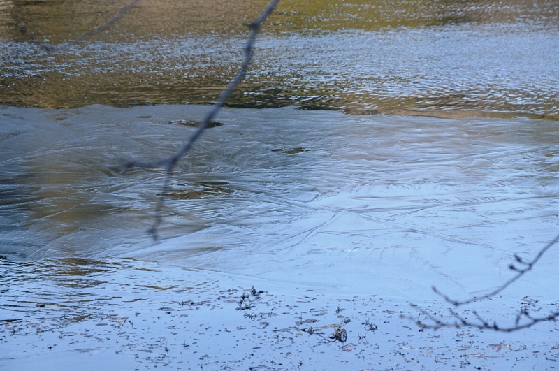 a0017909_1223943.jpg