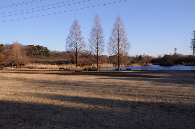 a0017909_1224546.jpg