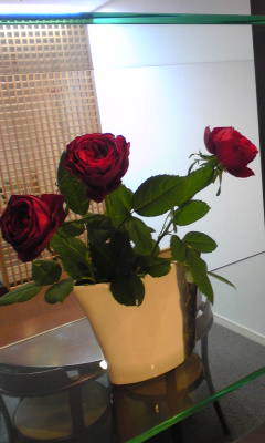 c0180209_2022891.jpg