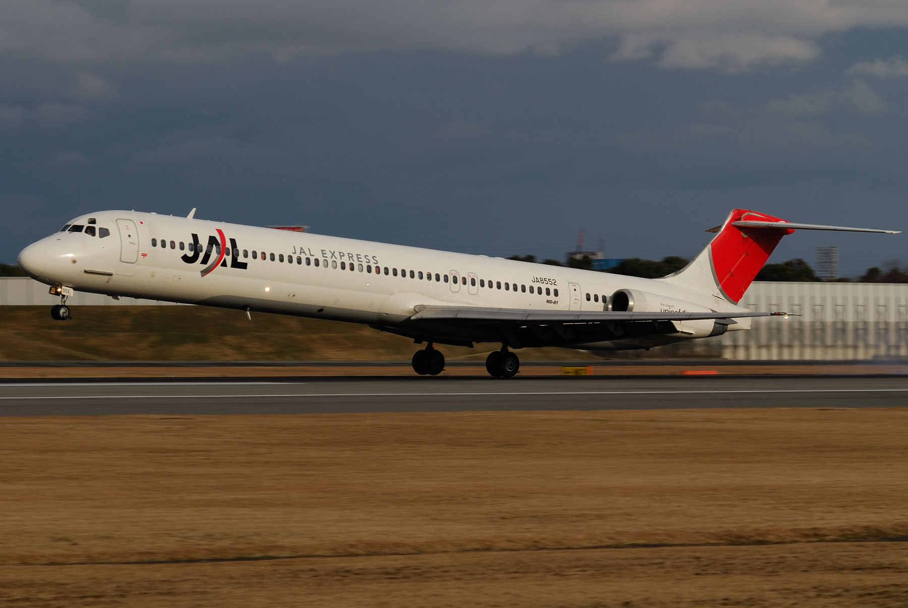 McDonnell Douglas MD-81 / JA8552 : SKY LOUNGE GARDEN