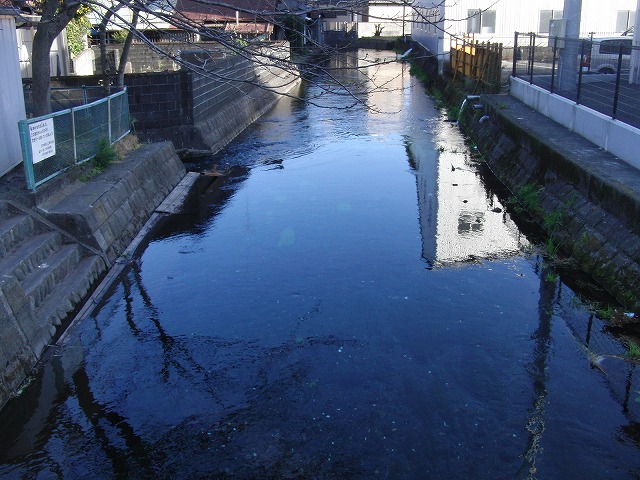 上がる田宿川の水位と工業用水の矛盾?_f0141310_8535336.jpg