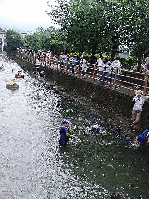 上がる田宿川の水位と工業用水の矛盾?_f0141310_8551414.jpg