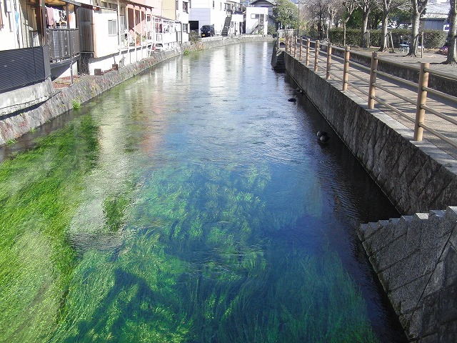 上がる田宿川の水位と工業用水の矛盾?_f0141310_8552546.jpg