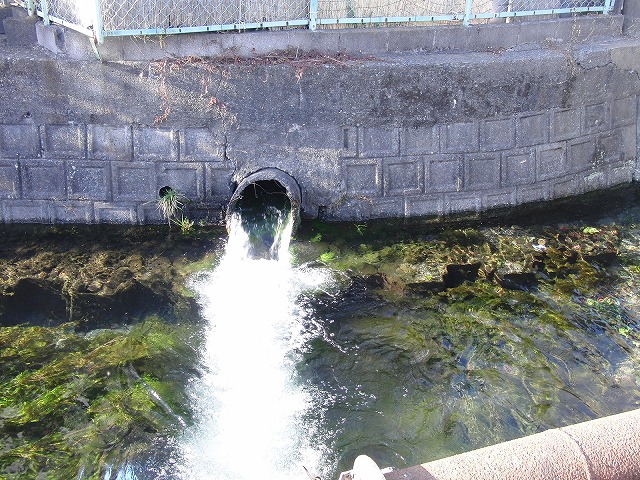 上がる田宿川の水位と工業用水の矛盾?_f0141310_8554755.jpg