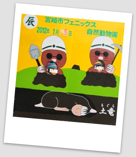 ちょっと遅い新年のご挨拶_a0169912_949828.jpg