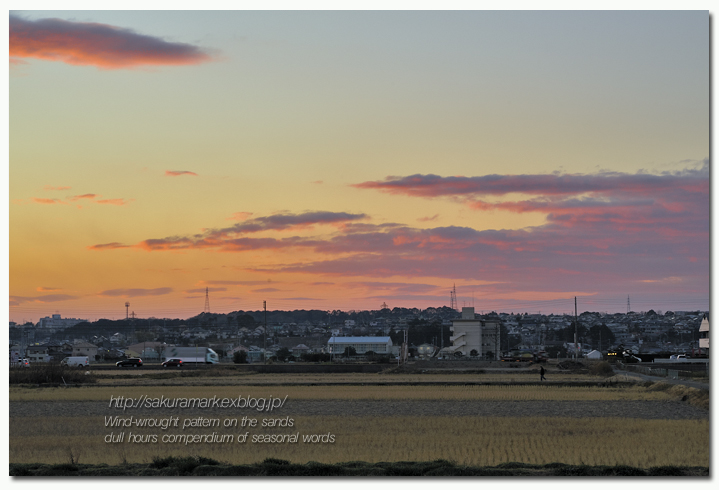 夕暮れの田んぼ道。_f0235723_17274539.jpg