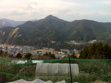 d0136540_2015796.jpg