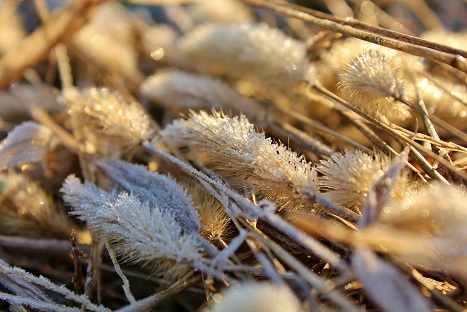 a0054647_23133051.jpg