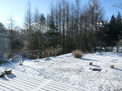 初「包包(ぱおぱお)」_f0019247_1047453.jpg