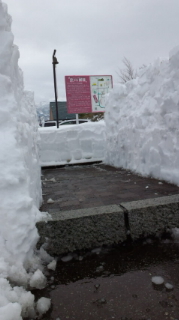 b0145753_12495131.jpg
